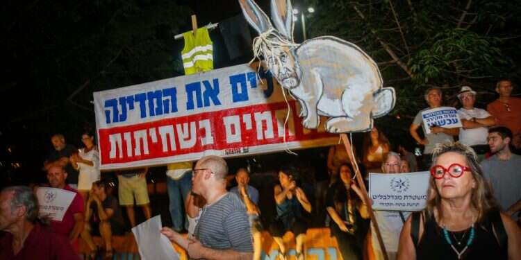 צילום: רוי עלימה, פלאש 90