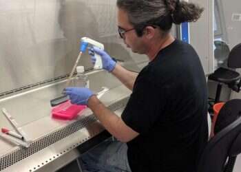 האור שבקצה המדגרה