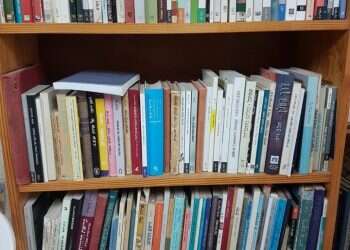 צילום: שמואל פאוסט