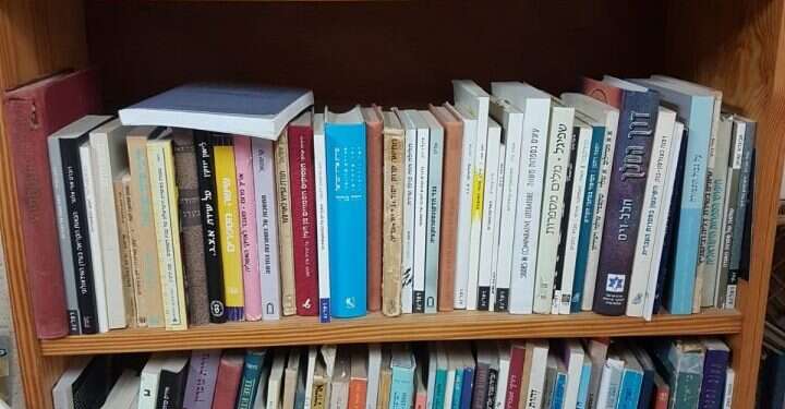 צילום: שמואל פאוסט