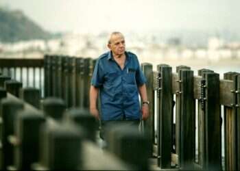 צילום: משה שי