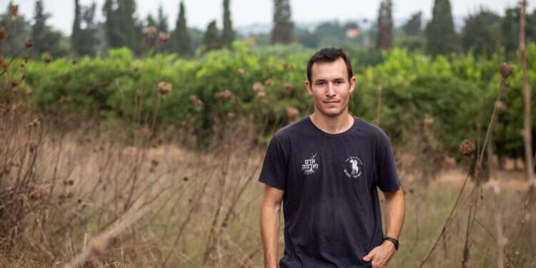 עמית מאיר. צילום: אבישג שאר-ישוב צילום: אבישג שאר-ישוב