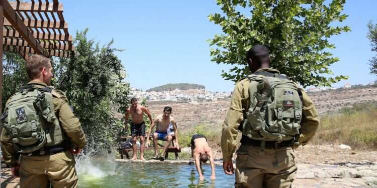 עינות ענר. צילום: מרים צחי צילום: מרים צחי