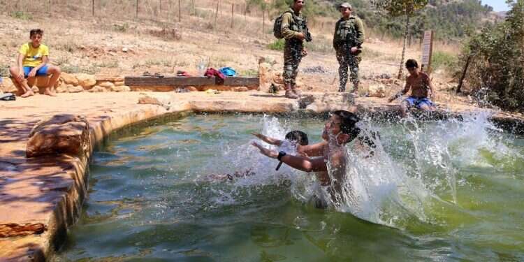 צילום: מרים צחי
