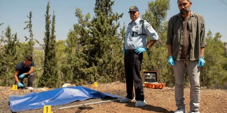 צילום: רן מנדלסון, באדיבות יס