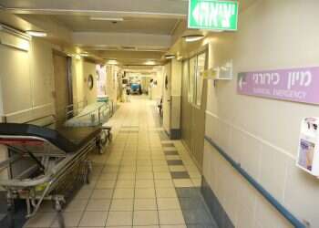 צילום: יהושע יוסף