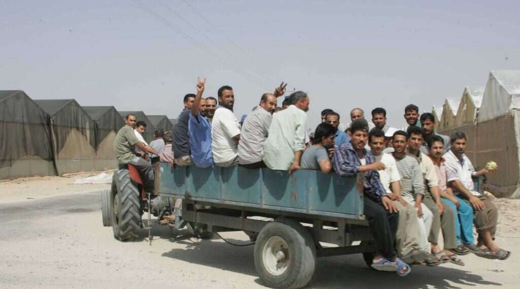 פלסטינים באים לפרק את החממות בישוב בדולח, קיץ 2005. צילום: מרים צחי צילום: מרים צחי