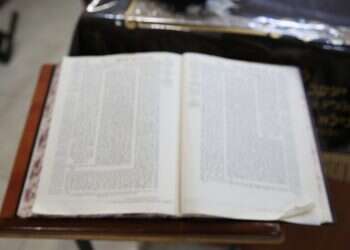 צילום: שאטרסטוק