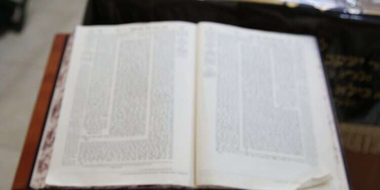 צילום: שאטרסטוק צילום: שאטרסטוק