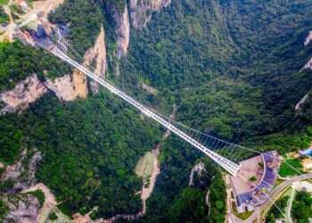 צילום: שאטרסטוק