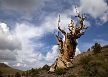 צילום: שאטרסטוק