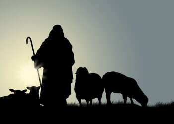 צילום: שאטרסטוק