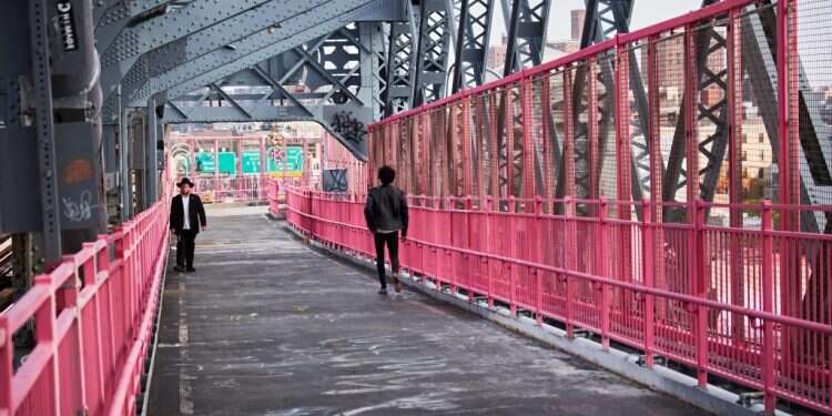 צילום: שאטרסטוק