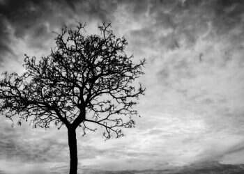 צילום: שאטרסטוק