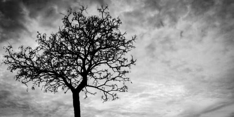 צילום: שאטרסטוק