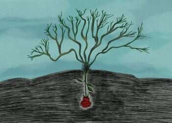 איור: שרון ארדיטי