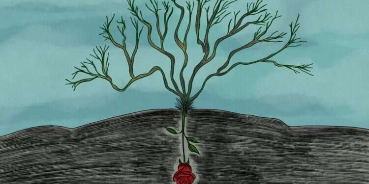 איור: שרון ארדיטי איור: שרון ארדיטי