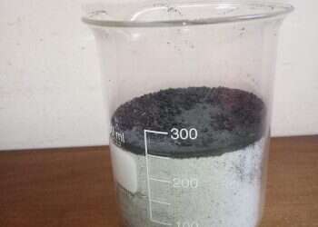 צילום: פרופ' זהר עמר