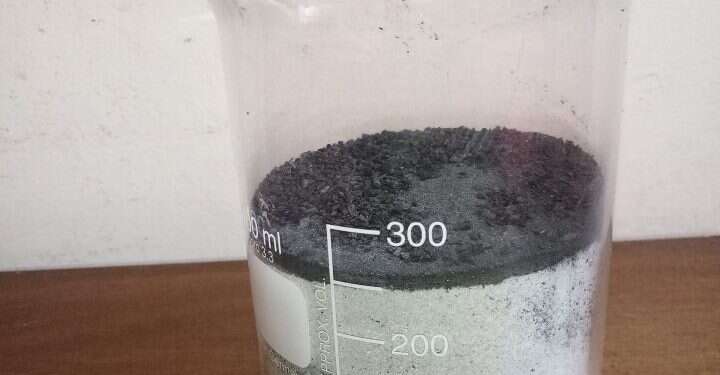 צילום: פרופ' זהר עמר