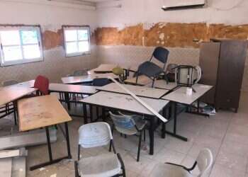 צילום: צבי תקשורת