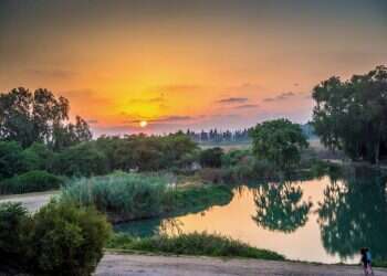 צילום: מנו גרינשפן