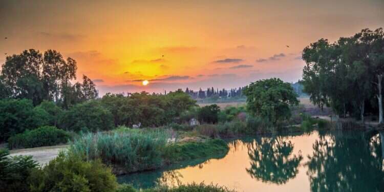 צילום: מנו גרינשפן