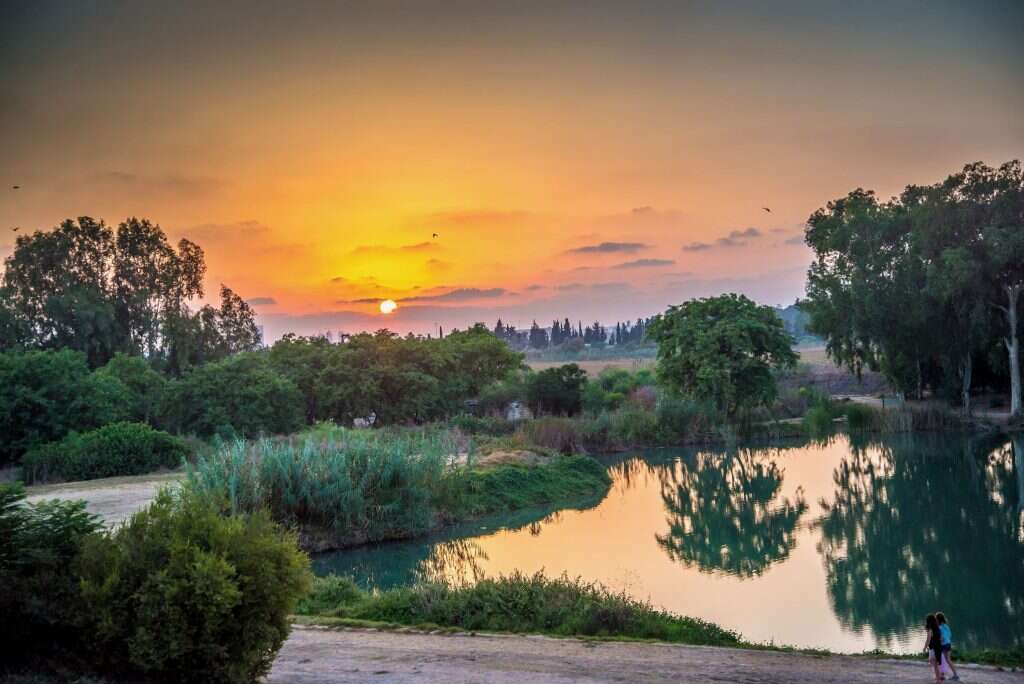 צילום: מנו גרינשפן