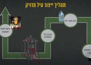 אינפוגרפיקה: דובר צה"ל