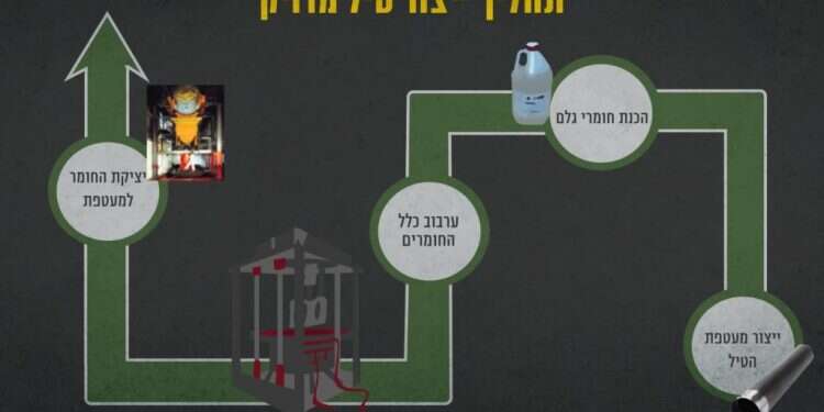 אינפוגרפיקה: דובר צה"ל