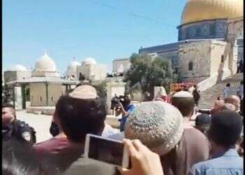 צילום: ארנון סגל