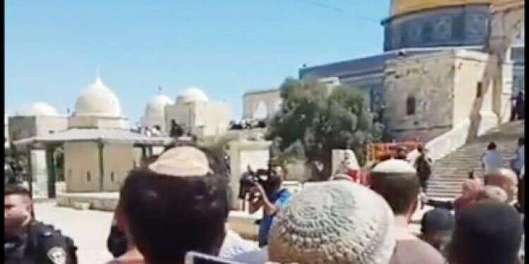 יהודים בהר הבית בצום תשעה באב, השבוע. צילום: ארנון סגל צילום: ארנון סגל