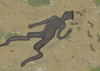 איור: שרון ארדיטי