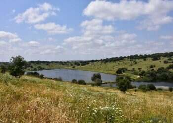 צילום: הדר שוייצר-כץ