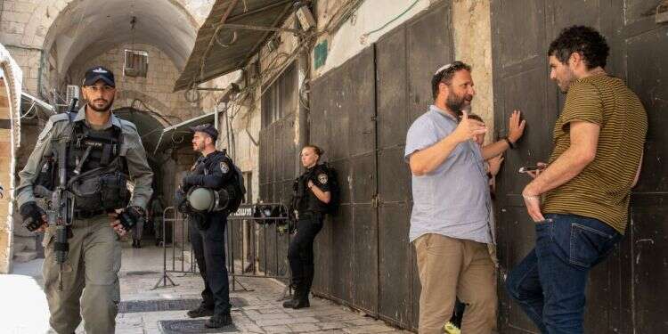 צילום: יוסי אלוני