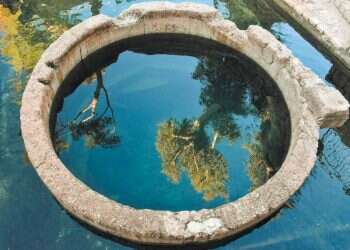 צילום: הדר שוייצר-כץ