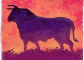 איור: מנחם הלברשטט