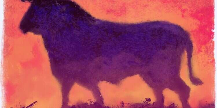 איור: מנחם הלברשטט איור: מנחם הלברשטט