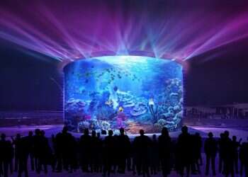 צילום הדמיה: טרגט מרקט