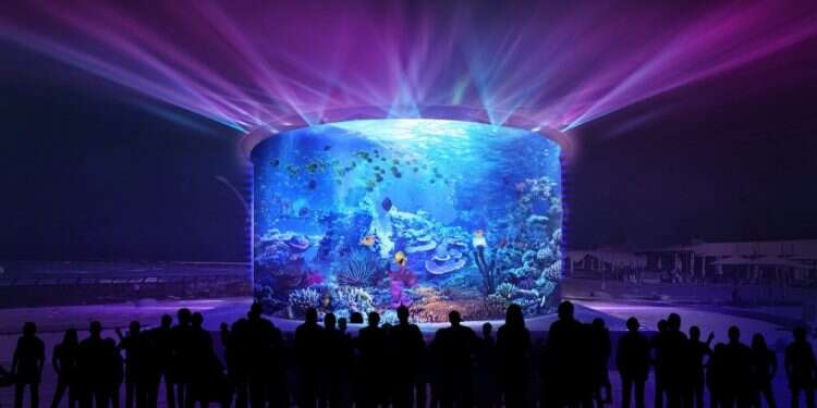 צילום הדמיה: טרגט מרקט