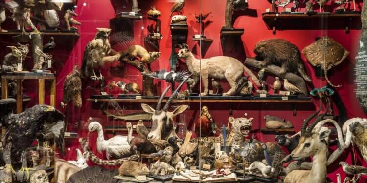 צילום: איתי בנית צילום: איתי בנית