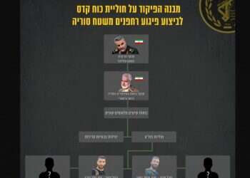 אינפוגרפיקה: דובר צה"ל