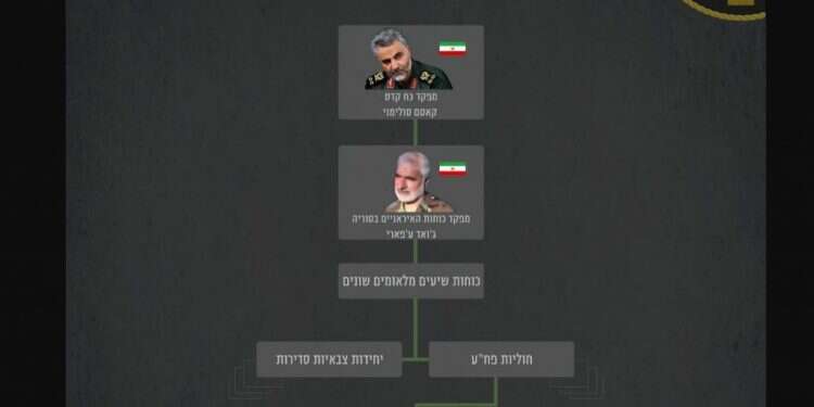 אינפוגרפיקה: דובר צה"ל