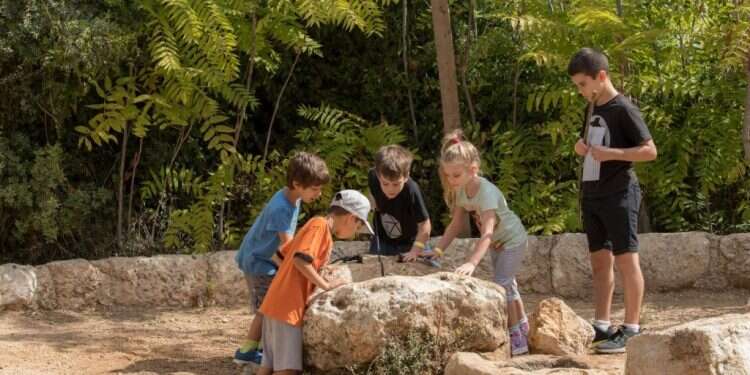 קיץ בנאות קדומים. צילום: איתי בלסון צילום: איתי בלסון