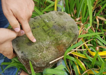 צילום: מאיר בולקה - J-nerations