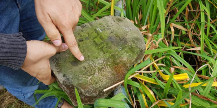 צילום: מאיר בולקה - J-nerations