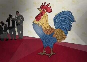 איור: שרון ארדיטי