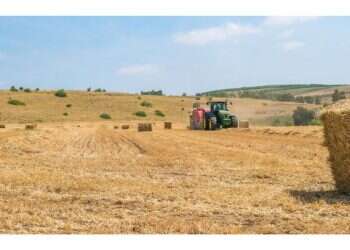 צילום: איתי בודל