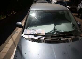 צילום: יהושע יוסף