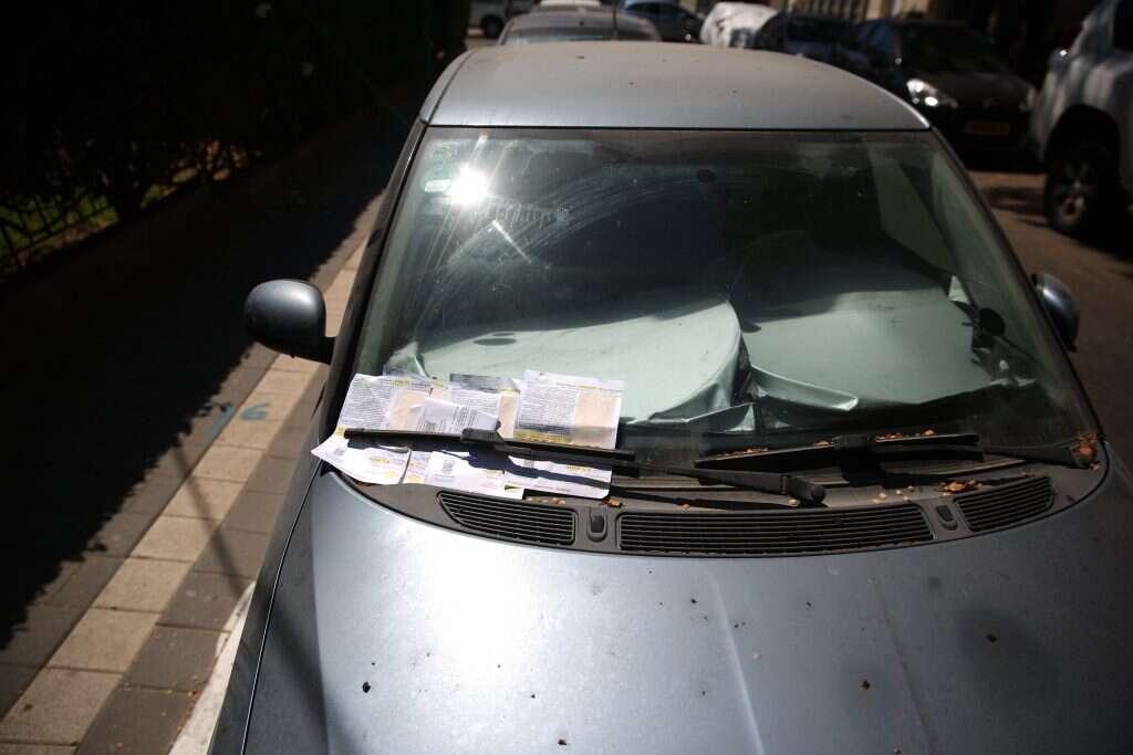 צילום: יהושע יוסף