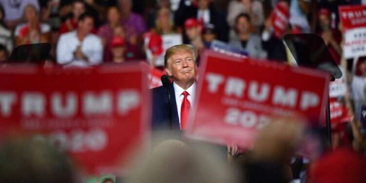 טראמפ בעצרת בחירות, השבוע. צילום: AFP צילום: AFP